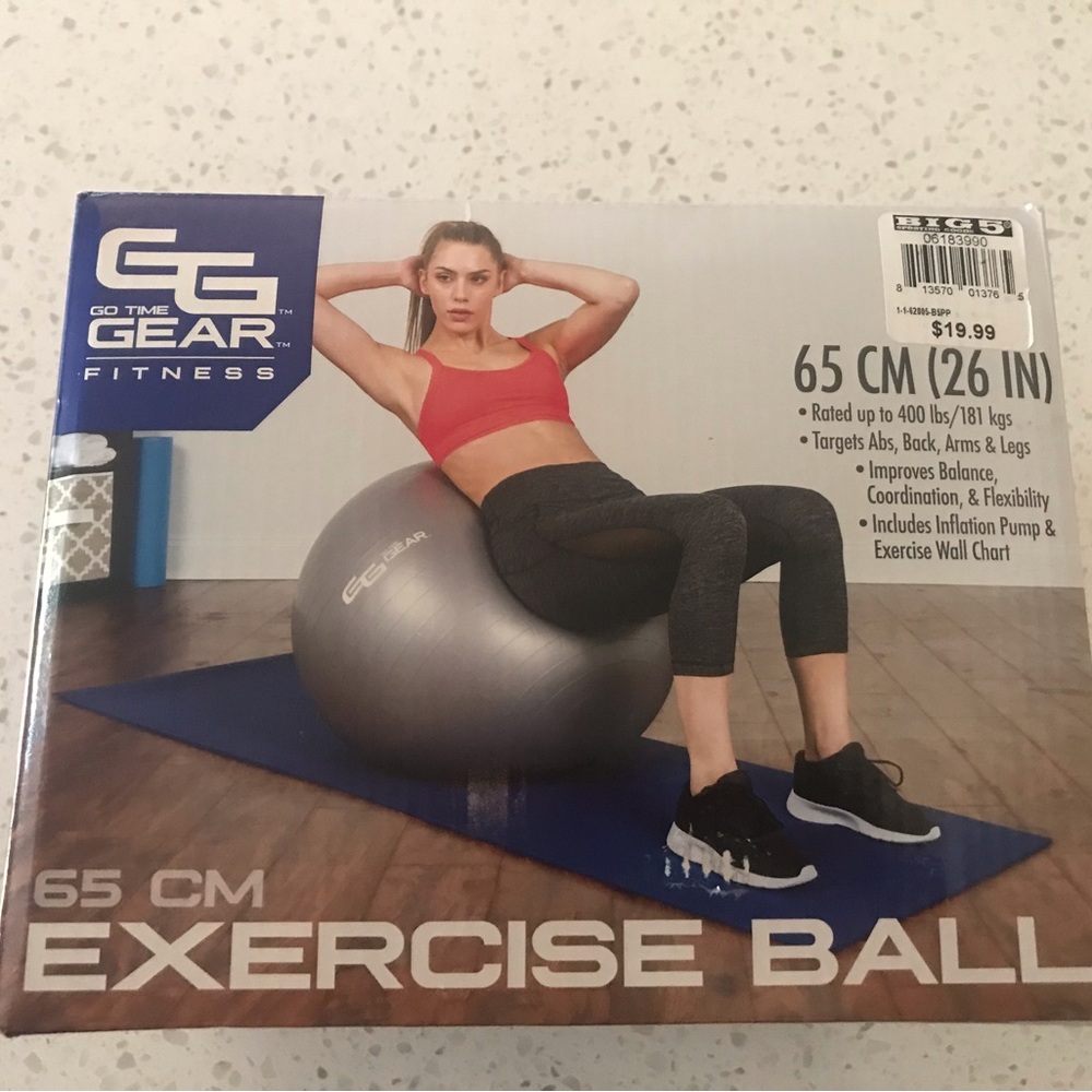 65cm (26 inch) Silver Exercise Ball, Brand New, includes pump